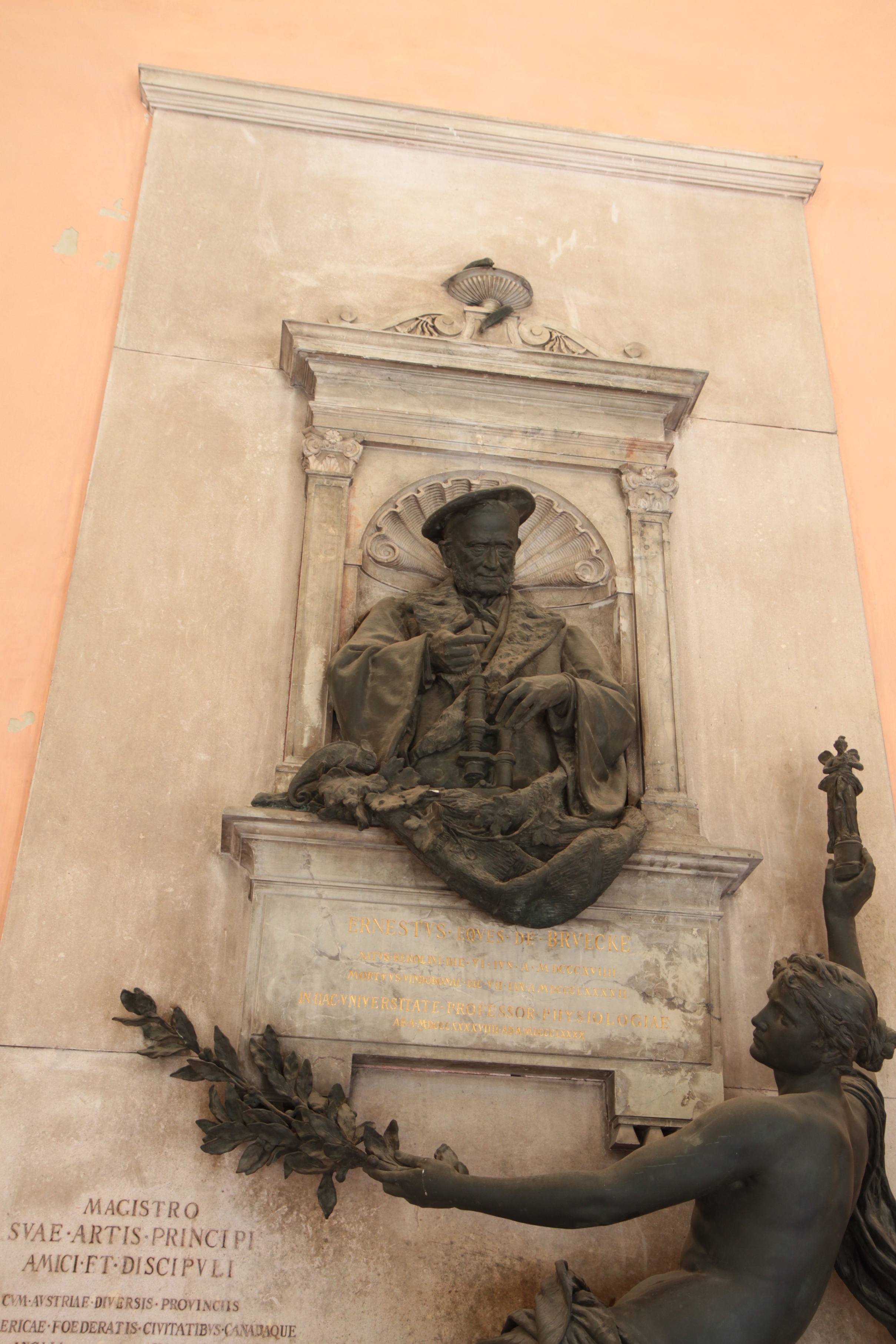 Ernst Wilhelm von Brücke's monument, Medical monuments, UNI Vienna - 02.JPG